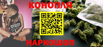 гидра Кингисепп