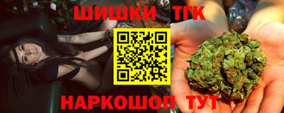 стаф Кинель
