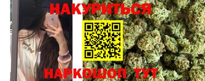 гидра Кингисепп