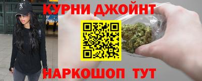 гидра Кингисепп