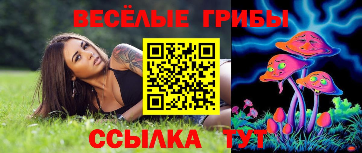 продажа наркотиков  Вход с VPN  Галлюциногенные грибы прущие грибы  Волоколамск  Галлюциногенные грибы прущие грибы 