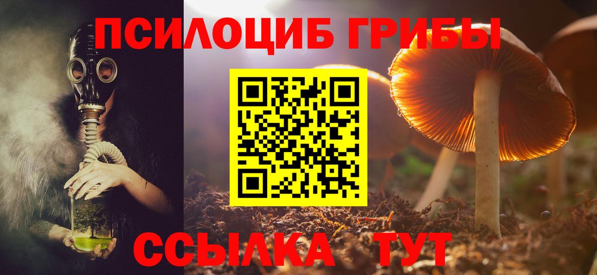 Псилоцибиновые грибы мицелий Волоколамск